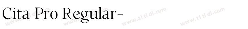 Cita Pro Regular字体转换